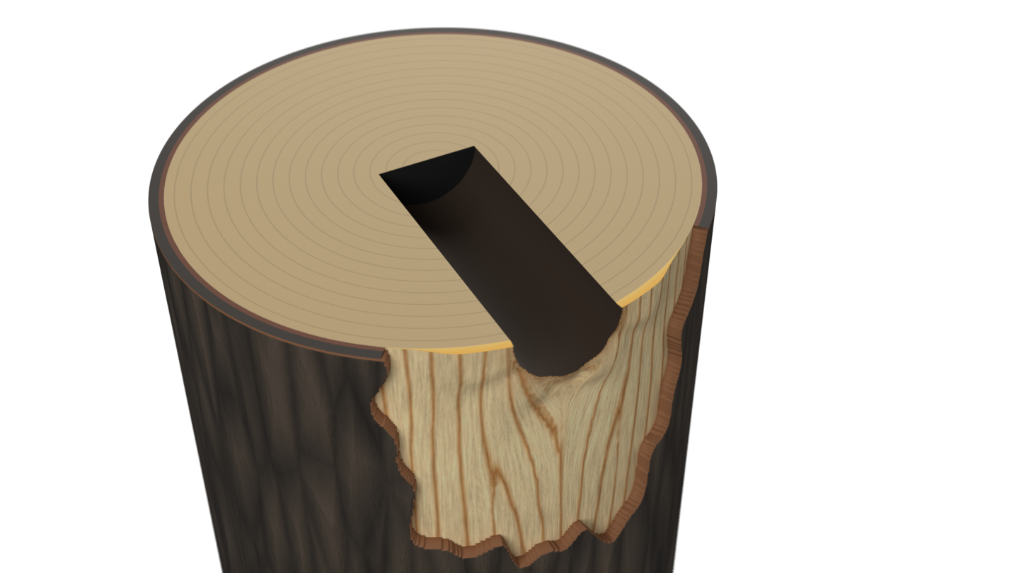 Cutaway of the hole growth model